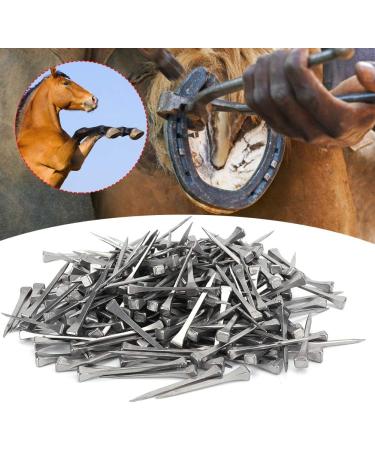 Zerodis 250Pcs E5 Stainless Steel Horseshoe Nails - Premium Quality Horse Equipment & Accessories - Buy Online on GoSupps.com