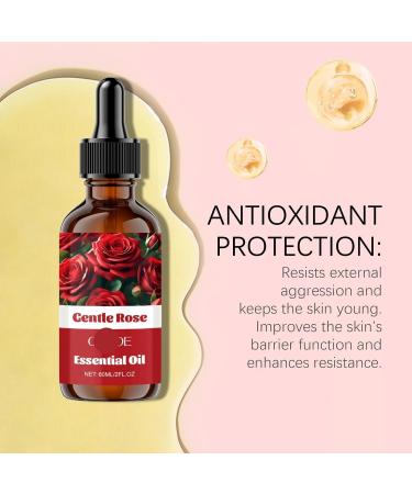 Multi-Purpose Care Oil - Facial & Body Moisturizer Lightweight Non-Comedogenic Hydrating & Soothing For Skin & Hair(1PCS) 1 Fl Oz (Pack of 1) - Buy Online on GoSupps.com