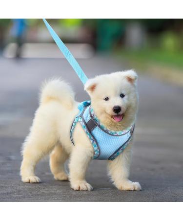 Shop BriFit Cat Dishes - Leash-Resistant Adjustable Cat Vest & Harness | Reflective Stripes for Cats & Puppies | Blue XS - International Shipping Available - Buy Online on GoSupps.com
