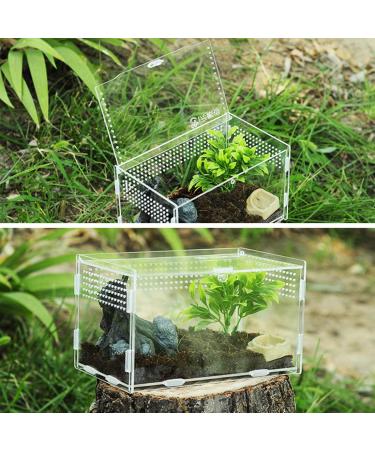 Winterworm Acrylic Reptile Feeding Box Transparent Breeding Box Terrarium with 2 Pcs Straight and Curved Tweezers for Pet Insect Spider Crickets Snails Hermit Crabs Lizard (Large(20x12x12cm)) - Buy Online on GoSupps.com