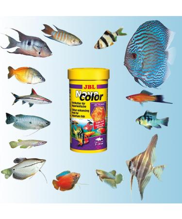 JBL NovoColor 30157 - Complete Food for Colorful Aquarium Fish | 250ml Flakes | Premium Fish Food Online - Buy Online on GoSupps.com