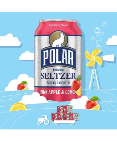 Polar Seltzer Water Assorted 12 Pack - 12 Flavor Variety, 12 fl oz Cans by LastFuel - Buy Online on GoSupps.com
