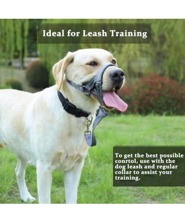 Premium No-Pull Dog Halter - Soft Upholstery Durable Design for Medium & Large Dogs - Snout 18-25.9 cm - Includes Training Instructions - Buy Online on GoSupps.com