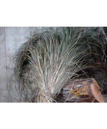 Krauterino24 Krauterino24 - Complete milk thistle quantity: 1000 g