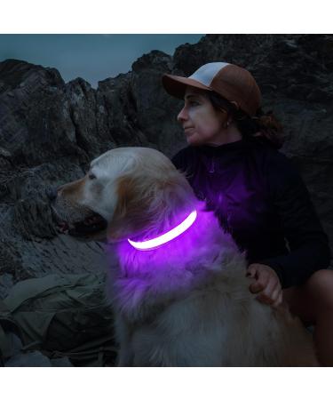 Luminous USB-C LED Dog Collar - Waterproof 7 Color Adjustable Light for Small & Medium Dogs (28-40cm/11-15.7in) - Purple - Buy Online on GoSupps.com