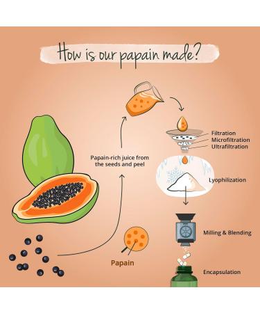 Papaya Enzyme Vegavero | 100% Natural Carica Papaya Fruit Extract | 120 Vegan Capsules - Buy Online on GoSupps.com