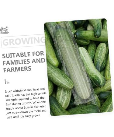 SUPVOX 1pc Vegetable Planting Melon Shaping Growing Shaped Stereotype Star Supply Plastic Fruit Growth - Buy Online on GoSupps.com
