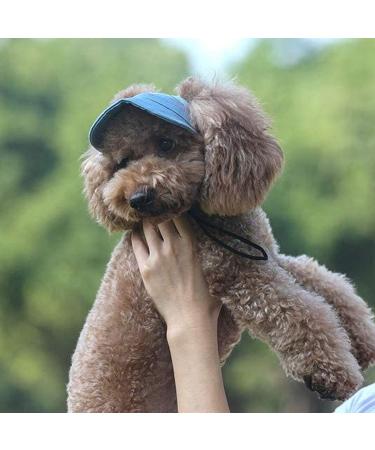 Buy BT BEAR Hundege Baseball Cap for Small & Medium Dogs - Adjustable Summer Hat with Ear Holes | Light Blue - Buy Online on GoSupps.com