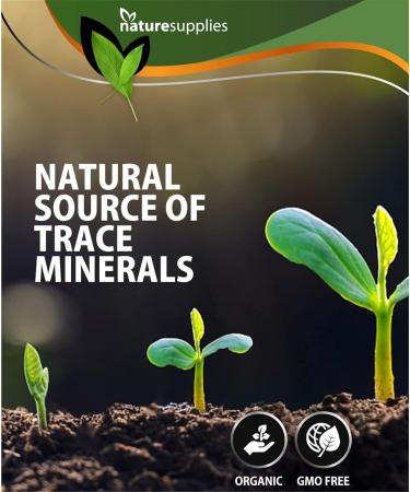 Fulvic Acid Minerals 30ml Bottle - Premium 40 Million Years Old Detox Antioxidant Liquid - 33 Organic Amino Acids - GMO & Chemicals Free - Naturesupplies 30ml - Buy Online on GoSupps.com