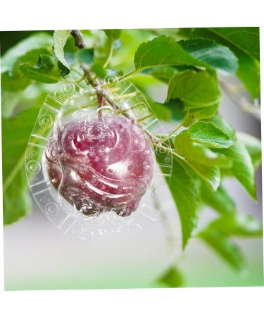 KONTONTY Fruit Shaper Vegetable Shaped Growth Fruitful to Play with Vegetable Fruit Shaping - Buy Online on GoSupps.com
