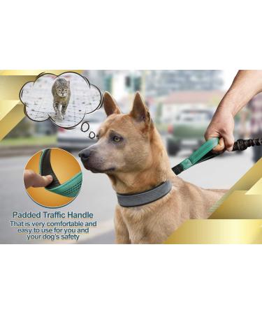 Premium 2-in-1 Jogging Line & Leash for Large/Medium Dogs | Double Handle & Belly Belt | Ideal for Jogging Hiking & Walking - Buy Online on GoSupps.com