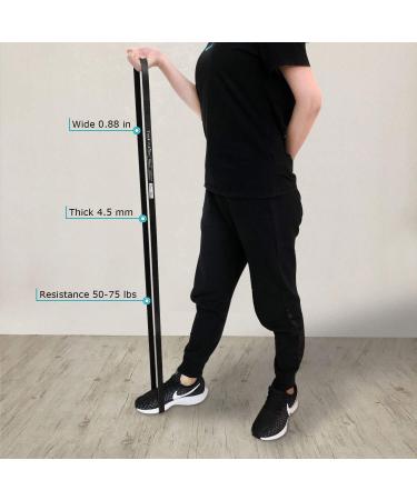 TheFitLife Resistance Pull Up Bands - Long Exercise Loop Bands for Powerlifting & Stretching - Includes Carrying Bag & Workout Guide - Buy Online on GoSupps.com