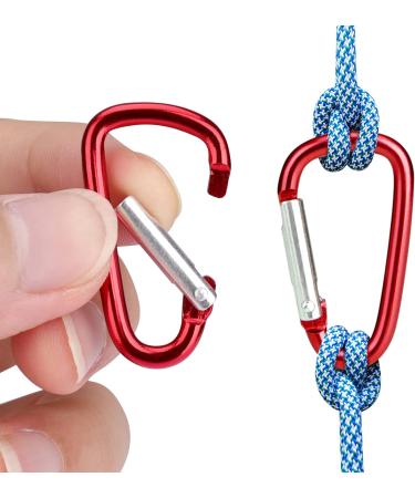Catelves 18-Piece Mini Carabiner Key Rings Set - Multicolor Aluminum Hooks for Keys & Gear - Buy Online on GoSupps.com