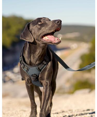 Joytale Large Dog Harness - Reflective Soft Padded Adjustable Breast Harness for Safe Control - Breathable & Comfortable - Gray (1 Pack) - Buy Online on GoSupps.com