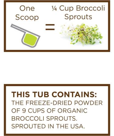 KOYAH Broccoli Sprout Powder - 4.3 Oz. - Buy Online on GoSupps.com