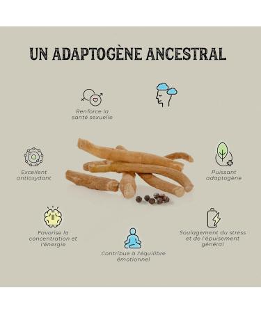  PLANTAE ASHWAGANDHA Organic KSM-66 Plant Capsules 120 Vegetable Capsules 5% Witanolide Content and Black Pepper Adaptogenic + Sleep + Anti-Stress + Energy - Buy Online on GoSupps.com