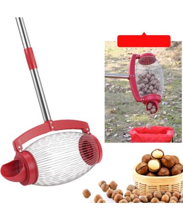 Buy Linsition Nuss Collector - Adjustable Nut Collector for Walnuts Small Fruits & Rubber Balls | International Shipping Available - Buy Online on GoSupps.com