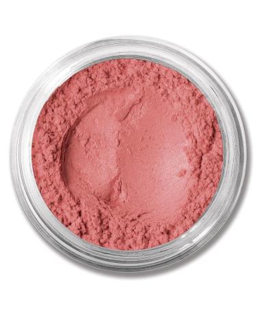 bareMinerals Loose Powder Blush  Vintage Peach  0.85 g Beauty 0.03 Ounce (Pack of 1)