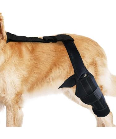 Dog Knee Brace - Professional Knee Support Brace - Support Dog Knee Brace Neoprene Hip Brace Adjustable Traction Belt for Knee for Cruciate Ligament Injury for Torn ACL Leg M left - Buy Online on GoSupps.com