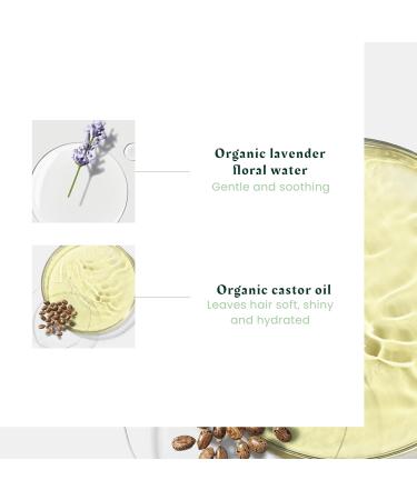 Ren Furterer - NATURIA - Invisible Dry Shampoo - Natural Dry Shampoo - Beige Tint Lightly Scented - 200ml - Buy Online on GoSupps.com