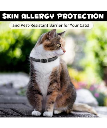 Buy Adjustable Waterproof Cat Neck Collar for Kittens & Cats - Fits 4 to 24 Months 48cm - Black - Buy Online on GoSupps.com