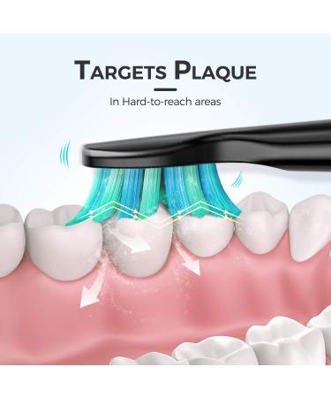 6 Pack Electric Toothbrush Replacement Heads for EasyClean Gum Health - Black - Buy Online on GoSupps.com
