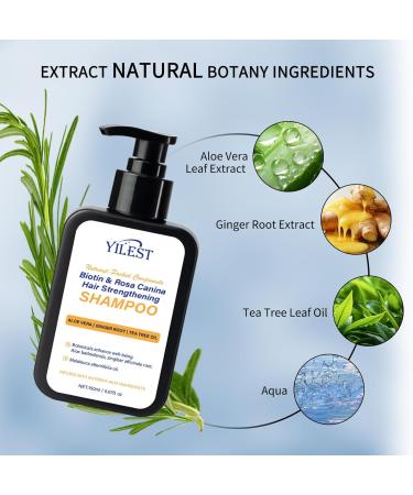 LMDGDS Rosemary shampoo with tea tree oil shampoo against hair loss Root Activating Shampoo 150 ml - Buy Online on GoSupps.com