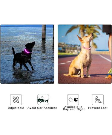 Masbrill LED Dog Collar - Waterproof Adjustable Luminous Safety Collar with 3 Flashing Lights for Small Medium Large Dogs - Pink XS (25-35cm) - Buy Online on GoSupps.com