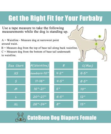 Cutebone Washable Dog Diapers 3-Pack | Waterproof Puppy Pants - Valentine's Day Rose Collection for Heat Period - L Size (51-68.5cm) - Buy Online on GoSupps.com