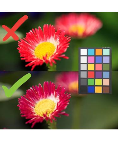 Datacolor SpyderCHECKR 24: Color Calibration Tool for Precision Imaging - Buy Online on GoSupps.com