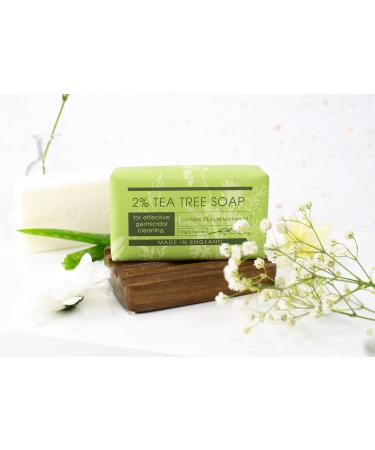 Buy The English Soap Company Take Care 2% Tea Tree Soap Bar - Luxury Moisturising & Soothing 190g for Hands & Body - International Shipping Available - Buy Online on GoSupps.com