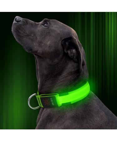 Illumifun LED Dog Collar, USB Rechargeable Glowing Pet Safety Collar, Adjustable Light Up Collars for Your Small Medium Large Dogs Large21.7-26.0inch/55-66cm Green