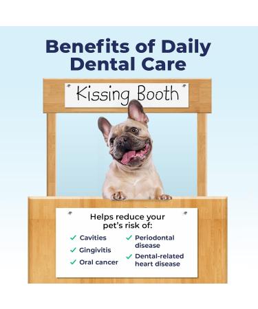 Vetnique Dentabliss - Dog Teeth Cleaning Finger Mitt Dental Wipe - Dog Plaque and Tartar Prevention with Brushing Beads - Convenient Dog Teeth Wipes with Peppermint Dog Breath Freshener 50ct - Buy Online on GoSupps.com