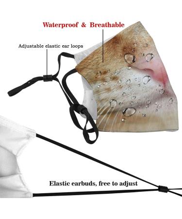 Washable Reusable Dust Filter & Activated Carbon Mouth Mask for Men/Women - Orange Cat Beard Design - Buy Online on GoSupps.com