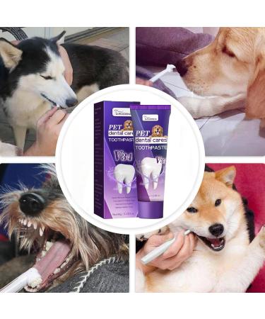 Cat Toothpaste Freshens Breath Cleaning Dog Pet Toothpaste - Safe and Effective Cat Oral Care Toothpaste for Dogs and Pets Frifer - Buy Online on GoSupps.com