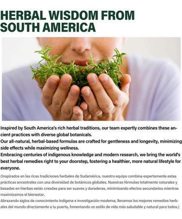 Berberine with Milk Thistle Liver Detox Capsules Berberina y Alcachofa y Cardo Mariano con Silimarina para el Higado Graso Liver Cleanse Detox & Repair Formula w/Turmeric Extract. 120Count Milk Thistle 120 Count (Pack of 1) - Buy Online on GoSupps.com