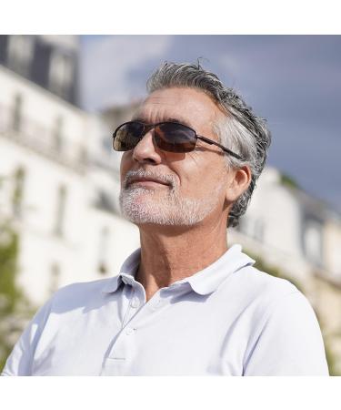 Buy BFOCO Bifocal Sunglasses for Men & Women - Spring Hinge Reading Glasses (Gunmetal 2.00) - International Shipping Available - Buy Online on GoSupps.com
