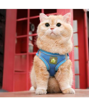 Neuwehe Cat Dishes Set with Leash - Adjustable Cat Harness & Tableware for Big Cats & Small Dogs (M Blue) - Outbreak-Proof & Durable - Buy Online on GoSupps.com