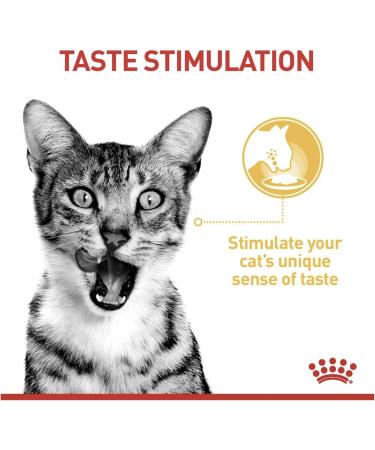 Royal Canin Sensory Taste In Jelly Wet Cat Food 12x85g - Buy Online on GoSupps.com