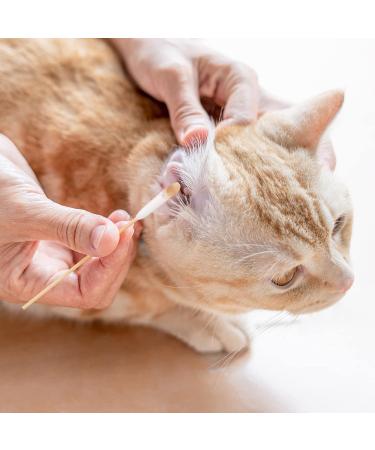 FRIUSATE 200 Extra Large Pet Ear Cleaner Cotton Buds for Dog & Cat Ear Wax Removal - Buy Online on GoSupps.com