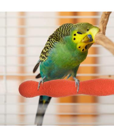 POPETPOP 20CM Bird Perch Parrot Stand Parakeet Natural Wood Rough Sand Perches Grinding Nail for Small Medium Large Birds African Grey Cockatoo Parakeet (Random Color) - Buy Online on GoSupps.com