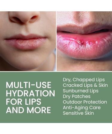 Organic Lip Balm Lip Treatment & Moisturizer for Dry Cracked Lips with Shea Butter & Vanilla Ultra-Hydrating & Nourishing Barrier-Repair Lip Therapy Natural Skin Care 6 Pack Women & Men Vanilla 0.15 Ounce (Pack of 6) - Buy Online on GoSupps.com