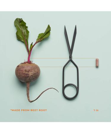 LifeSeasons Blood Nourish-R: Iron Deficiency Supplement for Fatigue, Paleness & Dizziness - 60 Capsules - Buy Online on GoSupps.com