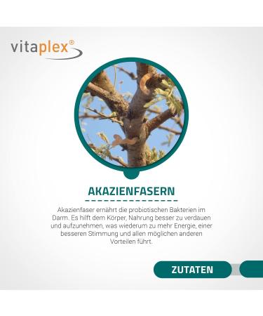 Vitamlex FiberControl Supplement - 100% Pure Acacia Fibers | Bio-Certified Gluten-Free Vegetarian | 450g Hypoallergenic Fiber Supplement for Optimal Digestive Health - Buy Online on GoSupps.com