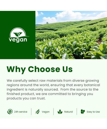 B BEWOTHS Organic Oregano Oil Drops | Oil of Oregano with Black Seed Oil Vitamin E 80% Carvacrol Oregano Drops for Immune Antioxidant Gut Detox Cleanser Support - Non-GMO Vegan (240-day Supply) Original 2 Fl Oz (Pack o  - Buy Online on GoSupps.com