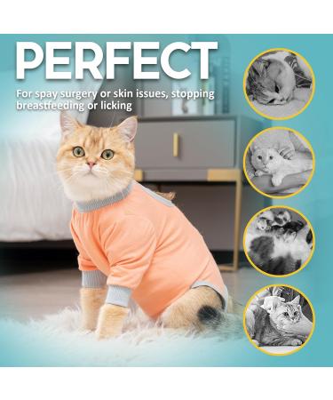 AVONT Cat Recovery Suit - Protective Alternative Surgical Spay Suit for Female Cats Gray Coral L - Ideal for Post-Operative Care & Skin Diseases - Buy Online on GoSupps.com