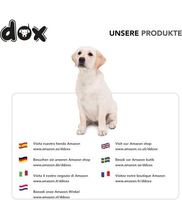DDOXX Nylon Step-In Dog Harness - Adjustable XS Puppy Harness (Blue) - Perfect Fit for All Sizes - 1.0 x 32-44 cm - International Shipping Available - Buy Online on GoSupps.com