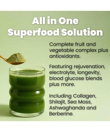 Project AD AD1 All in One Superfood Solution Complete Fruit and Vegetable Complex Plus Antioxidants Including Collagen Shilajit Sea Moss Ashwaganda and Berberine (24 Servings Berry Blast) - Buy Online on GoSupps.com