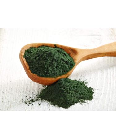 Food to Live Chlorella Powder 1 Pound - Kosher Raw Green Algae Vegan Superfood Bulk Pure Vegan Green Protein Rich in Vitamins and Minerals Great for Drinks Teas and Smoothies 16 Ounce (Pack of 1) - Buy Online on GoSupps.com