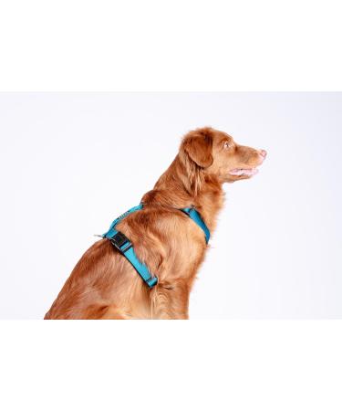 Chaba Guard Dog Harness for Large Dogs | Anti-Choke & Control - Adjustable Step-In Lightweight Harness for Running - XL Size - Buy Online on GoSupps.com